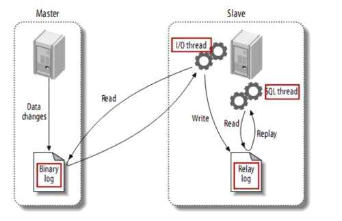 请问怎么用js读取存入mysql数据库 - 数据库 - 前端，mysql 新增唯一索引