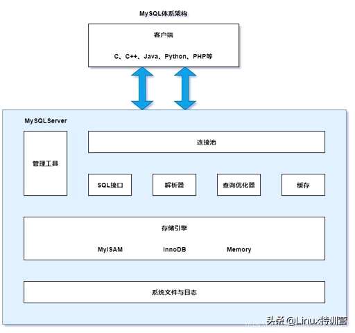 医院运维是什么 - 数据库 - 前端|