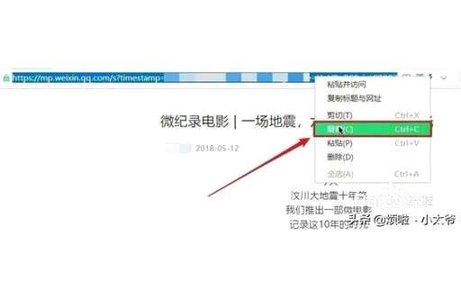 如何复制公众号文章css,小蚂蚁编辑好后怎么复制到公众号