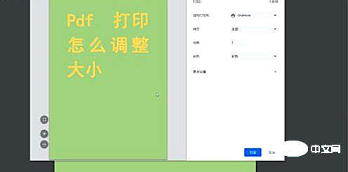 打印pdf怎么调整大小