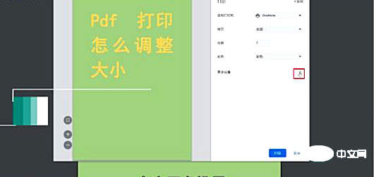 打印pdf怎么调整大小