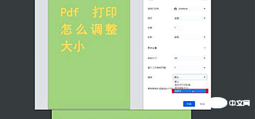 打印pdf怎么调整大小