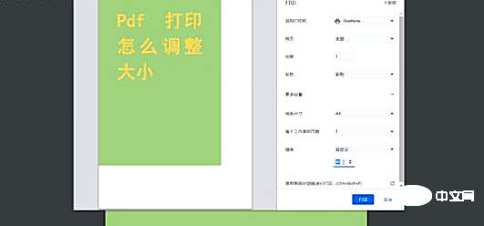 打印pdf怎么调整大小