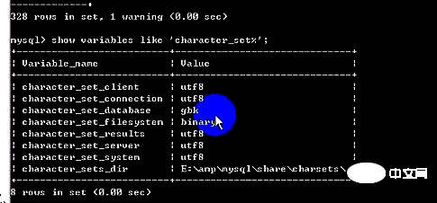 mysql数据库的字符编码问题