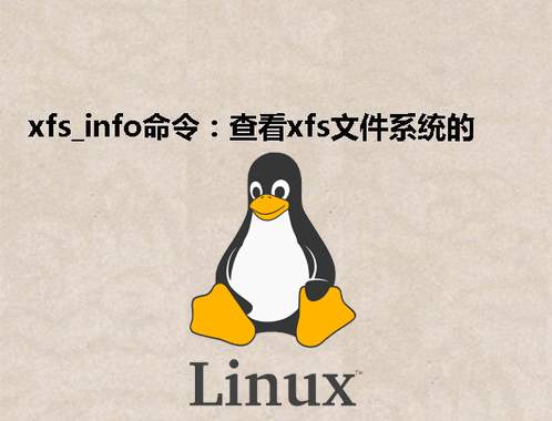 [Linux] xfs_info命令：查看xfs文件系统的具体信息